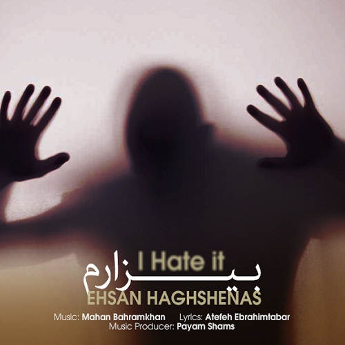 Ehsan Haghshenas – Bizaram