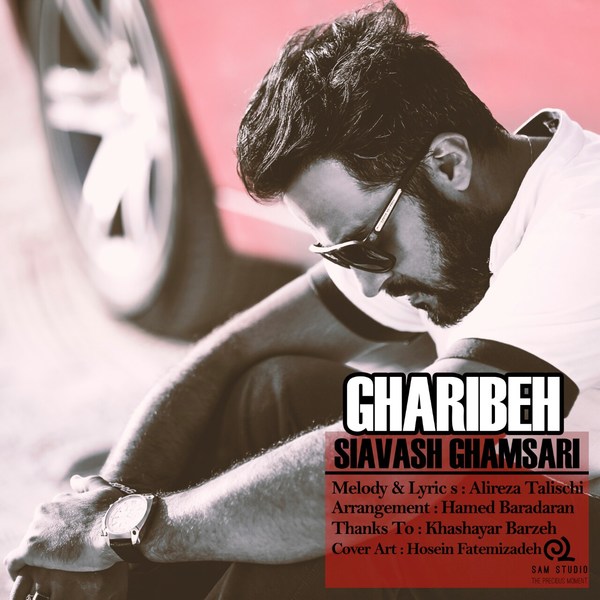 Siavash Ghamsari – Gharibeh
